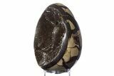 Septarian Dragon Egg Geode - Sparkly Black Crystals #383838-1